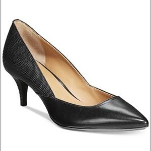 Calvin Klein Women’s Patna Pumps